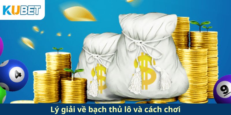 Lý giải về bạch thủ lô và cách chơi