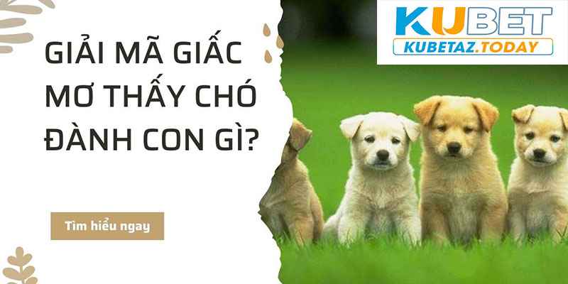 Giải mã bí ẩn sổ mơ Kubet khi chiêm bao thấy động vật