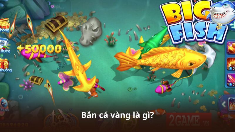 Bắn cá vàng là gì?