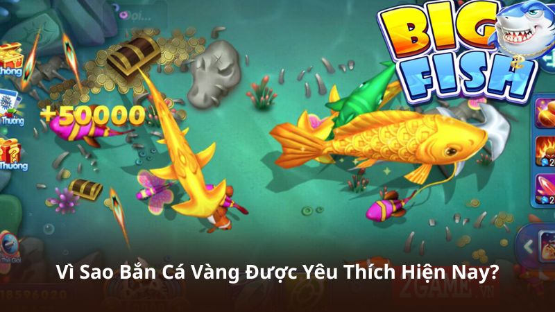 Vì Sao Bắn Cá Vàng Được Yêu Thích Hiện Nay?